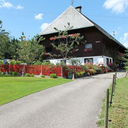 Ferienwohnung Schwarzwaldhof ティティゼー・ノイシュタット エクステリア 写真