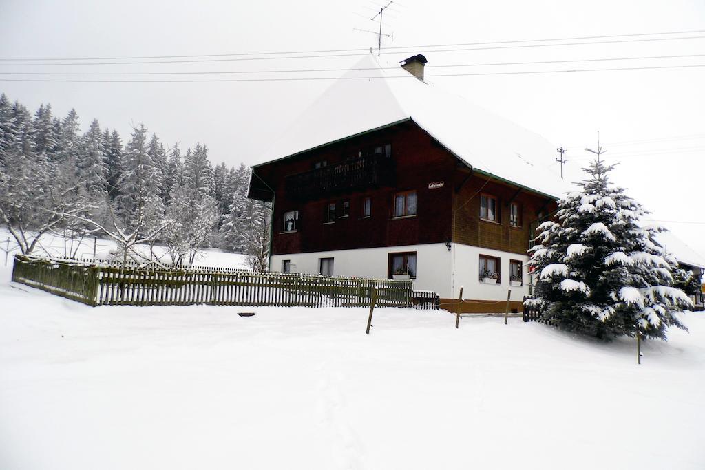 Ferienwohnung Schwarzwaldhof ティティゼー・ノイシュタット エクステリア 写真