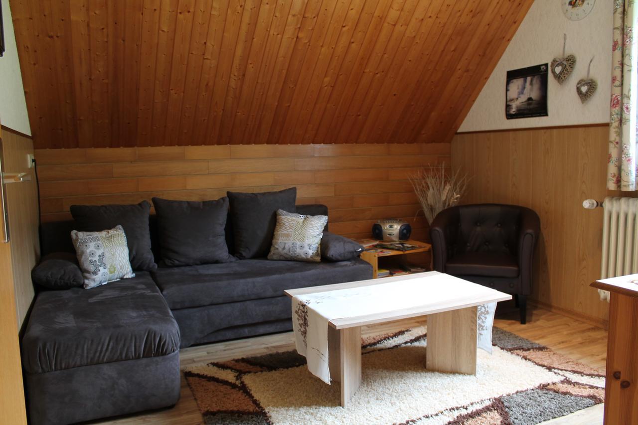 Ferienwohnung Schwarzwaldhof ティティゼー・ノイシュタット エクステリア 写真