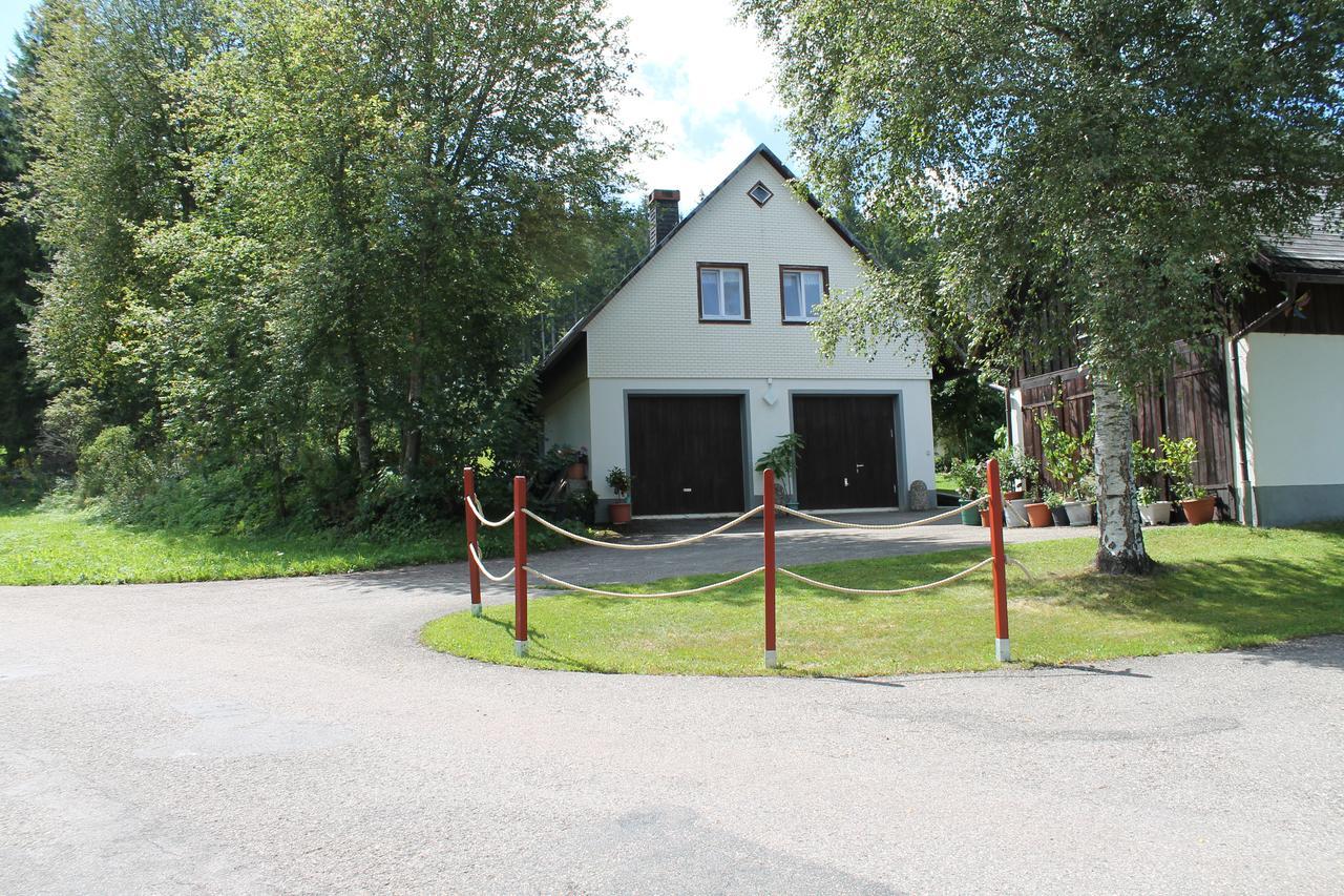 Ferienwohnung Schwarzwaldhof ティティゼー・ノイシュタット エクステリア 写真