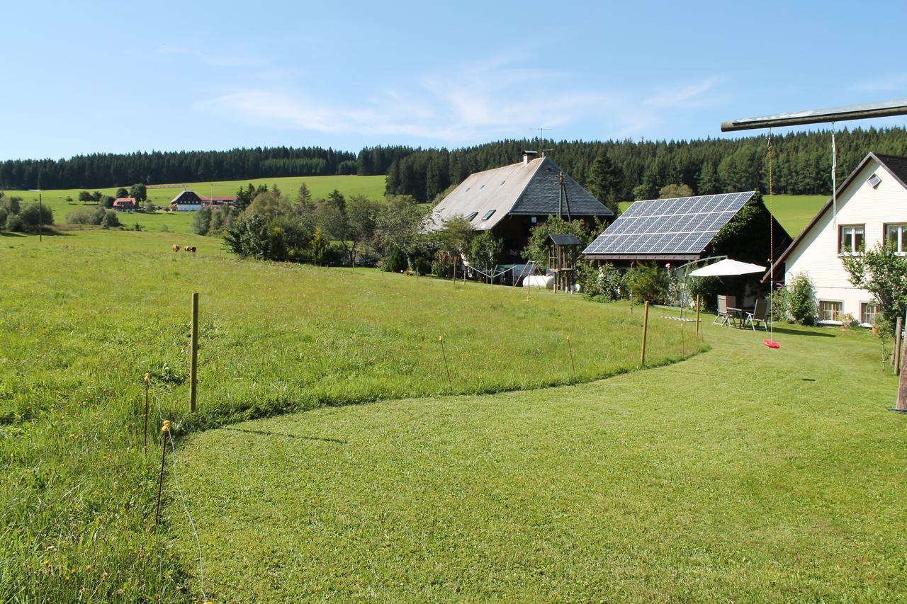 Ferienwohnung Schwarzwaldhof ティティゼー・ノイシュタット エクステリア 写真