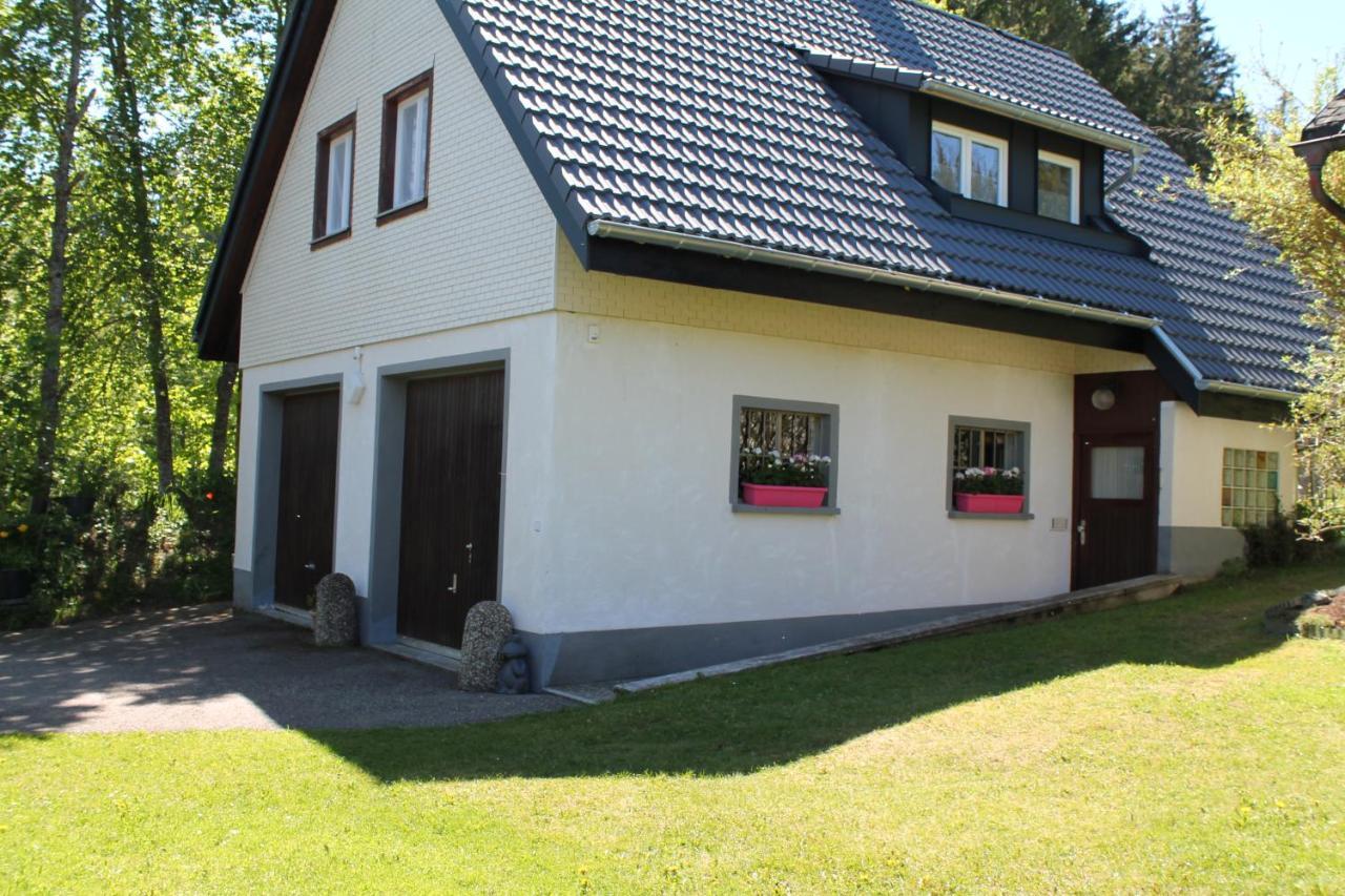 Ferienwohnung Schwarzwaldhof ティティゼー・ノイシュタット エクステリア 写真