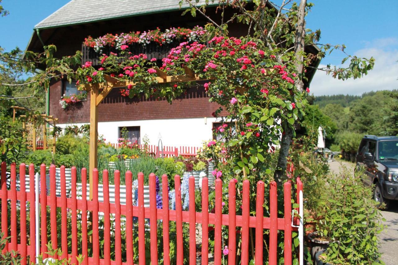 Ferienwohnung Schwarzwaldhof ティティゼー・ノイシュタット エクステリア 写真